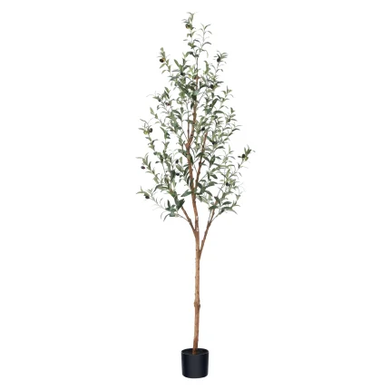 DR.Planzen 6ft Artificial Olive Tree Indoor, Tall Faux Olive Tree, Artificial Plants with Natural Wood Trunk and Lifelike Fruits for Home Office Decor